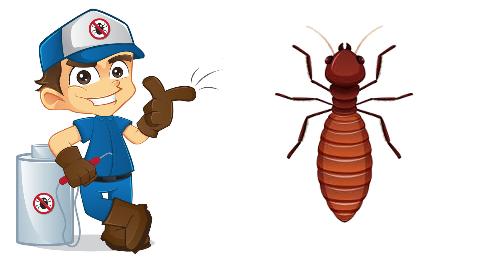 Termite Treatment