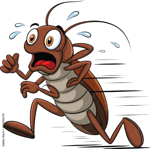 Dis Infestation Services