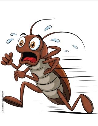Best Dis-Infestation Services in Modinagar